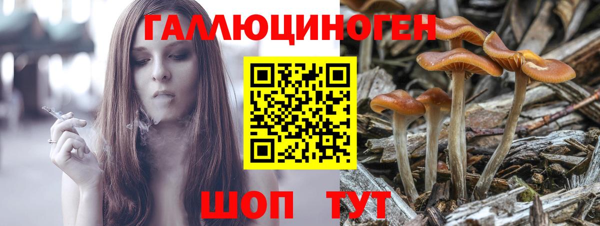 Елизово  Псилоцибиновые грибы мухоморы  Вход с VPN  Псилоцибиновые грибы Psilocybine cubensis 