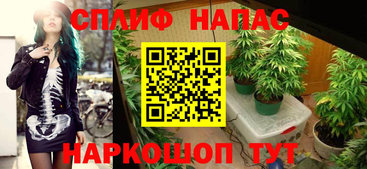 Бошки Шишки LSD WEED Елизово